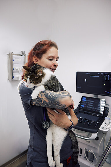 Một bác sĩ thú y đang khám cho một con mèo trong phòng khám.