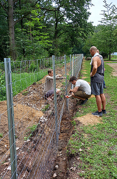 Drei Männer arbeiten gemeinsam an einem Zaunprojekt im Grünen. Zwei knien am Boden und befestigen Draht am Zaun, während der dritte steht und zuschaut. Der Zaun verläuft entlang eines frisch ausgehobenen Grabens im Waldgebiet.