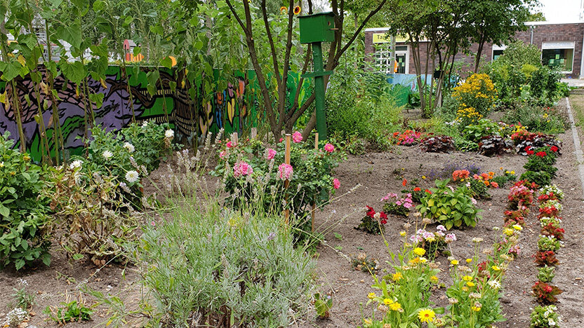 Bild – Garten in Wartenberg