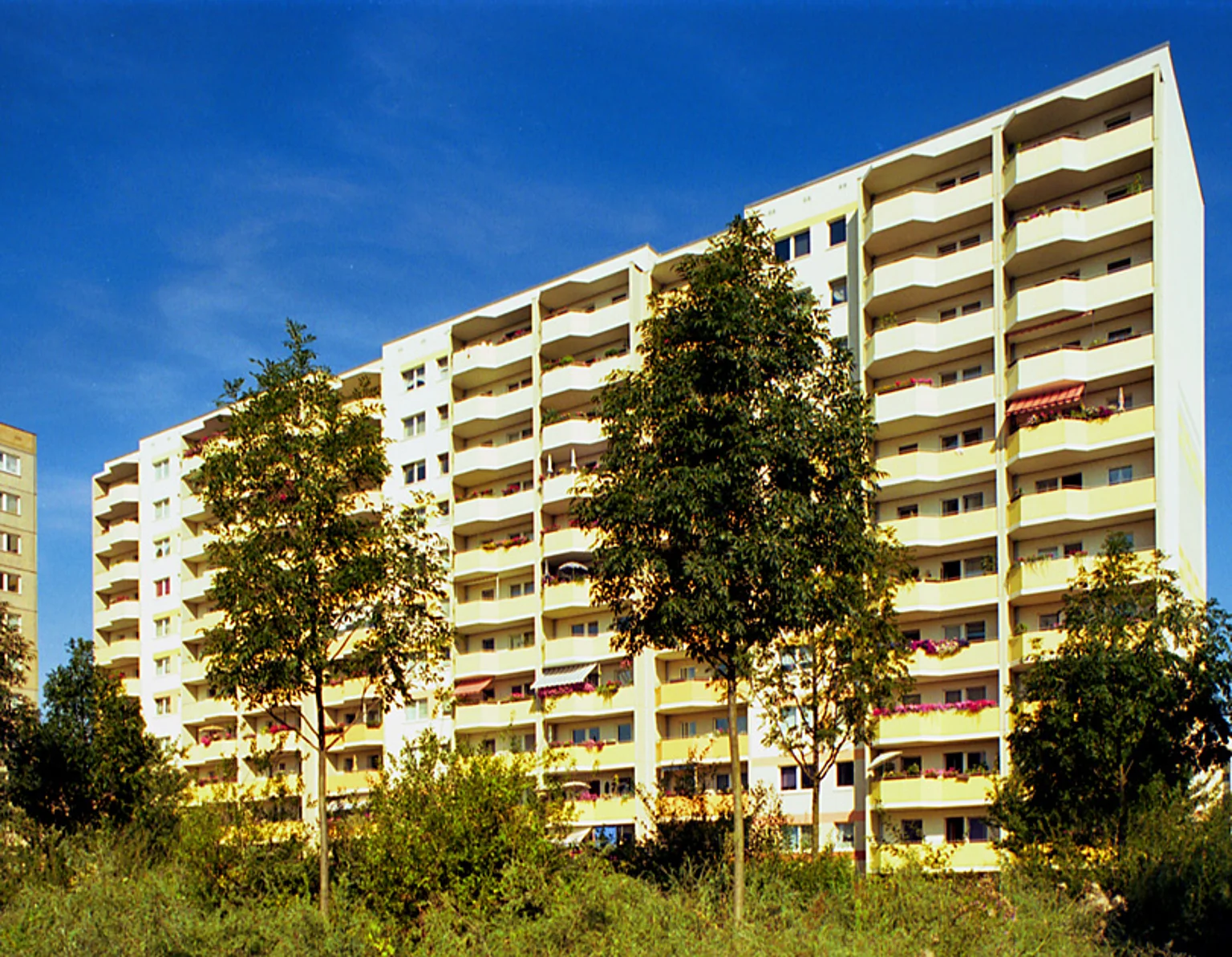 3-Zimmer-Wohnung in Neu-Hohenschönhausen – Foto 2