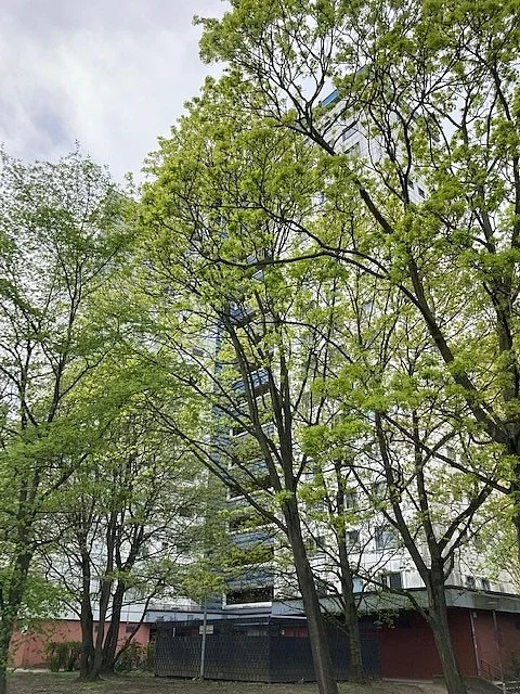 Wohnung in Berlin - Foto 1
