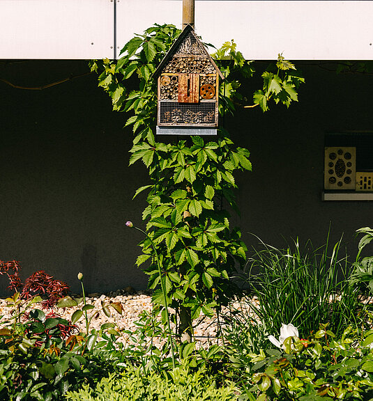 Ein begrüntes Bienenhotel 