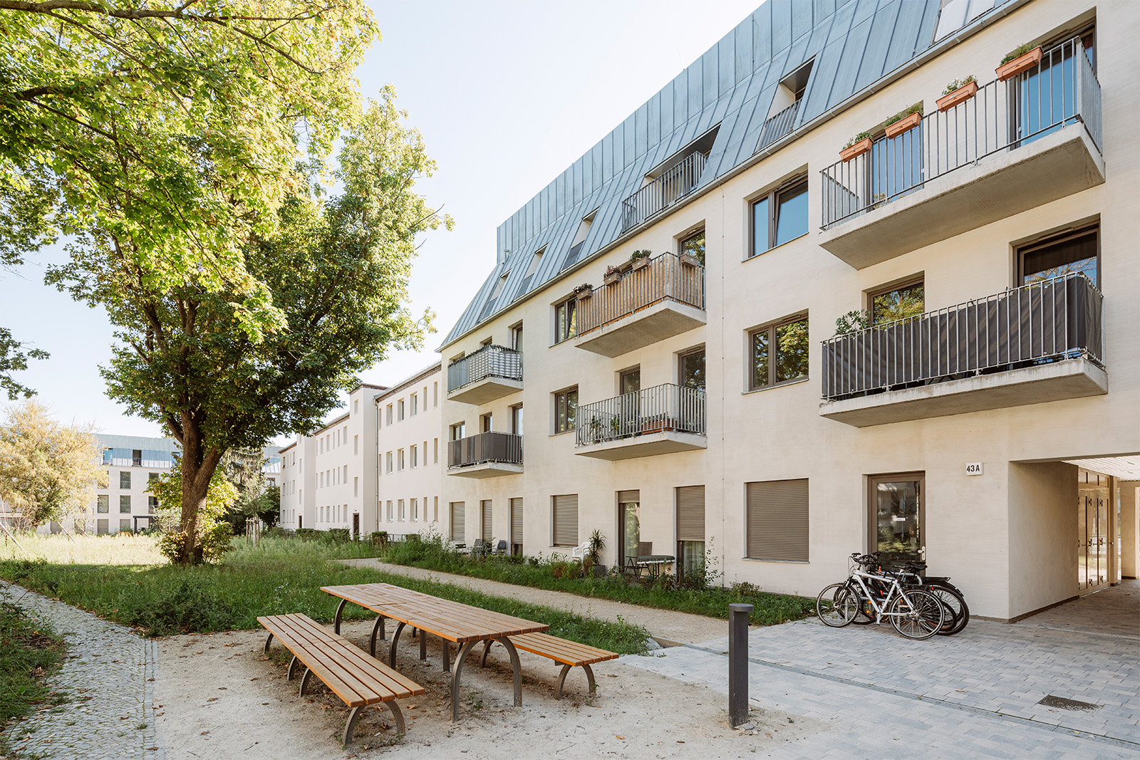 Bild – 