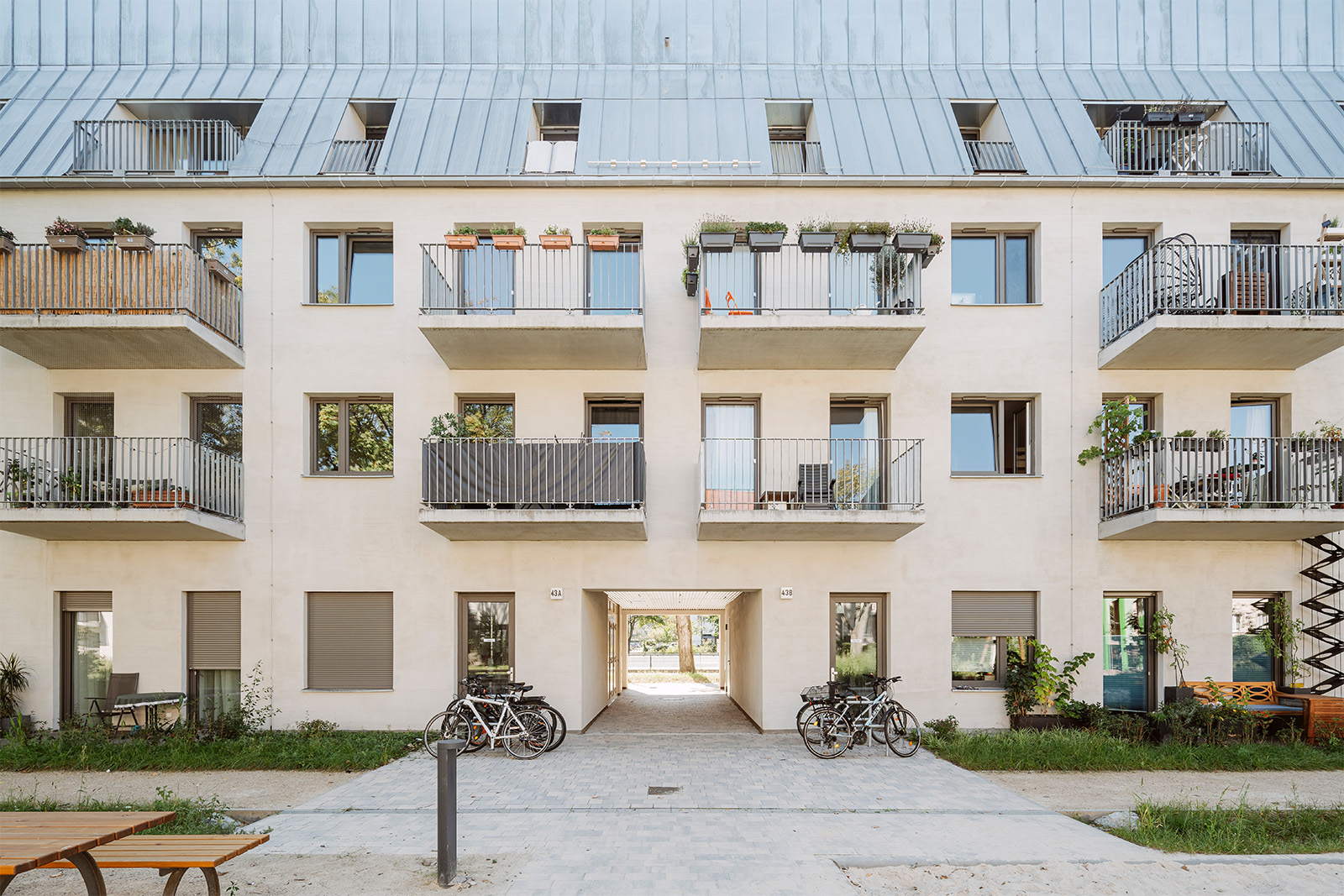 Bild – 