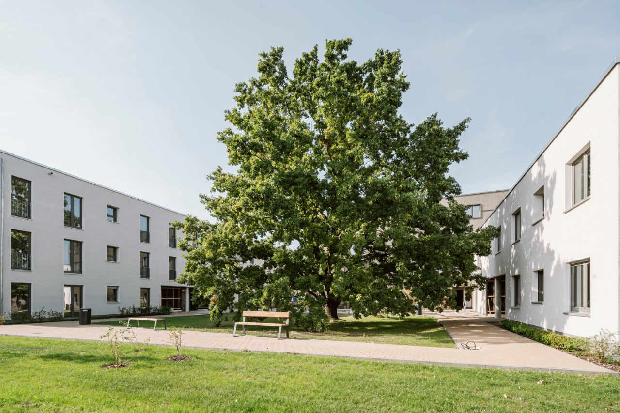 Bild – Ein großer Baum schmückt den Innenhof, herum sind Bänke aufgestellt