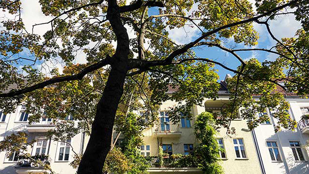 Szenekiez zum Erleben