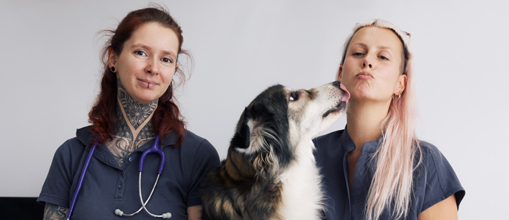 Ветеринары Юлия Леманн и Жасмин Макси Адам в медицинских костюмах с собакой. 