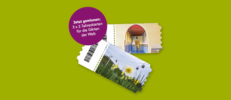 Eine illustrative Darstellung von zwei Eintrittsgutscheinen
