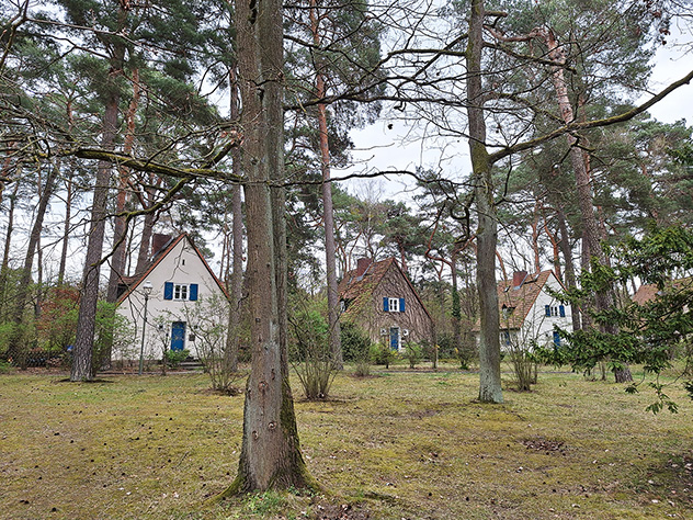Forest settlement "Krumme Lanke"