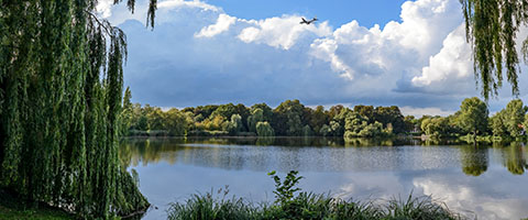 See in Reinickendorf