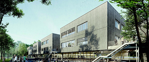 Neubau von Schulen