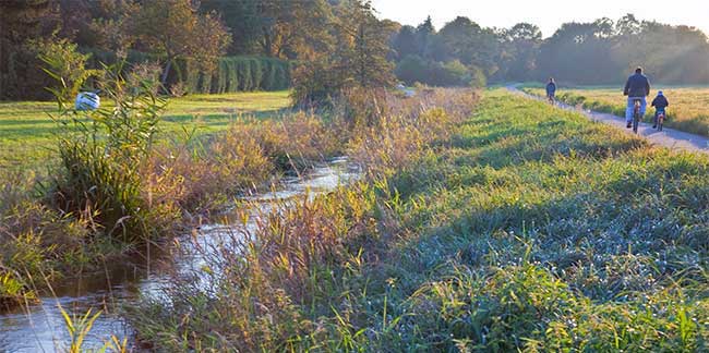 Blick ins Grüne in Berlin Buch. Man sieht Wiese und einen Fluss mit Bäumen und Spaziergänger.